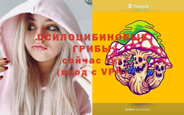 apvp Абаза